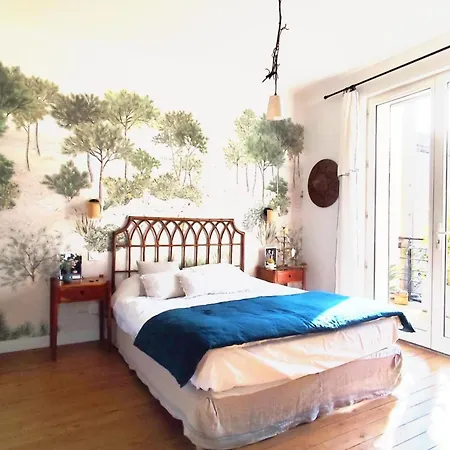 Beautiful House With Garden In